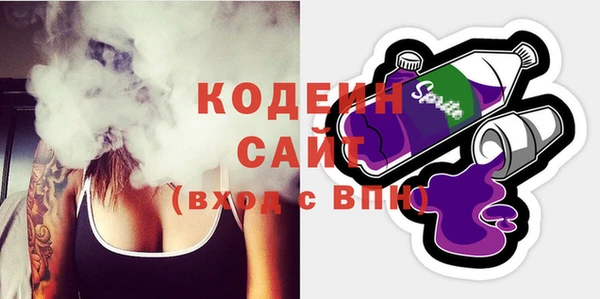 шишки Белоозёрский