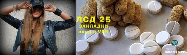 шишки Белоозёрский