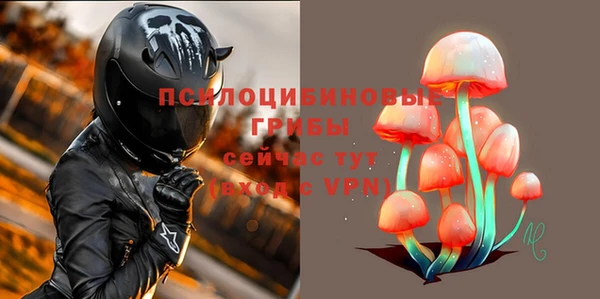 шишки Белоозёрский