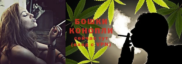 шишки Белоозёрский