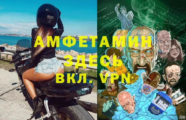 шишки Белоозёрский