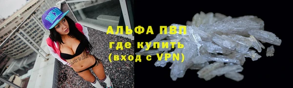дмт Белокуриха