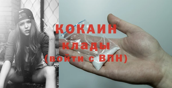 шишки Белоозёрский