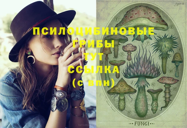 дмт Белокуриха
