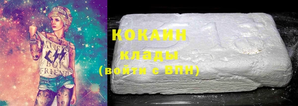 шишки Белоозёрский