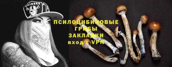 дмт Белокуриха