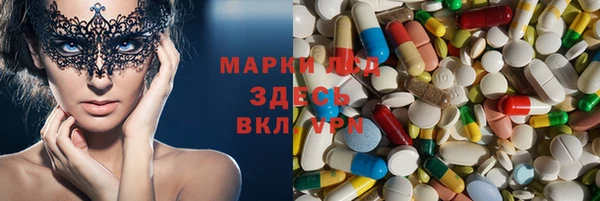 шишки Белоозёрский