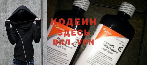 шишки Белоозёрский